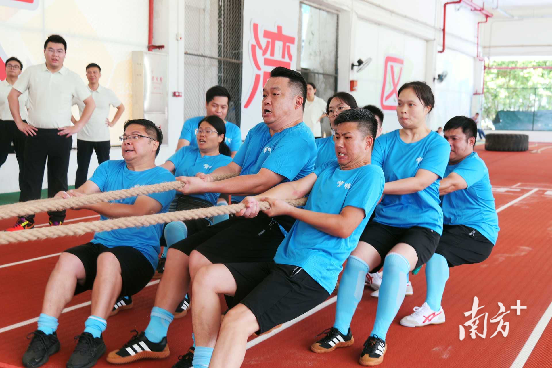 媒集团南方, img 媒集团南方, img
