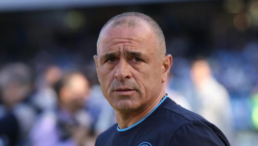 牲和组织的 牲和组织的